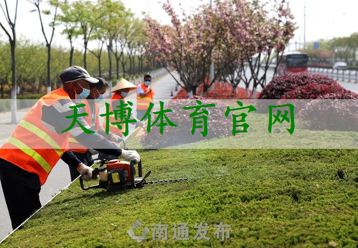 新密城市绿化带植物叫什么