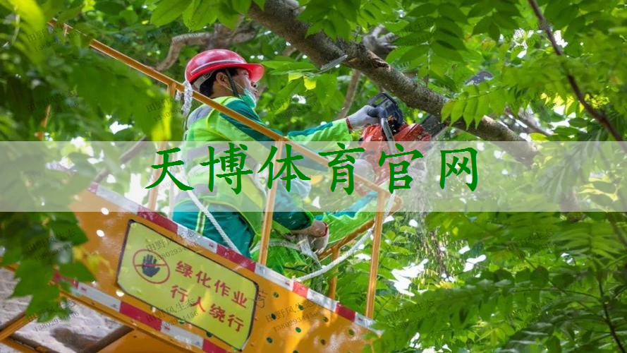 丽江市政绿化工程公司