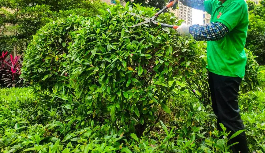 便宜的园林景观设计
