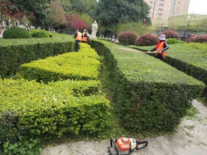 园林绿化工程中的绿地规划和设计技巧
