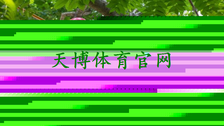 超值的园林景观设计